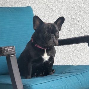 Meet your Posher, Maureen